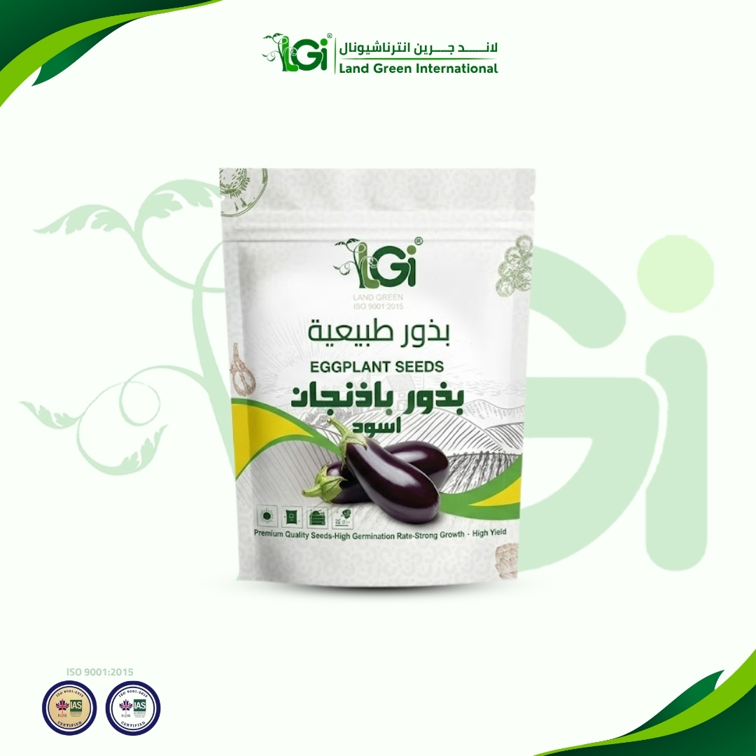 بذور باذنجان اسود بذور باذنجان أسود 5 جرام - الصورة 1