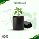 أكياس شتلات - 1 ك