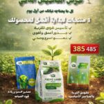 عرض التاسيس الذكي