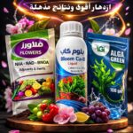🌸🌸 عرض التزهير